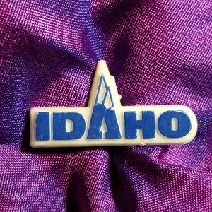 Vintage Idaho blue mountain white plastic pin lapel pinback ski brooch t…